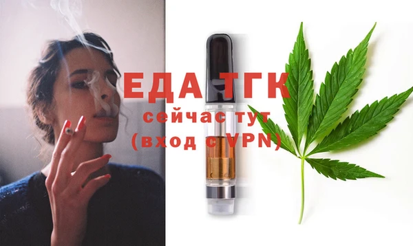 гидра Богородицк