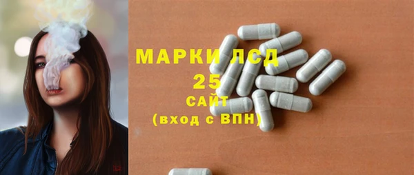 гидра Богородицк